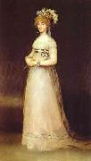 Francisco Jose de Goya Portrait of the Countess of Chinchon. oil painting picture wholesale